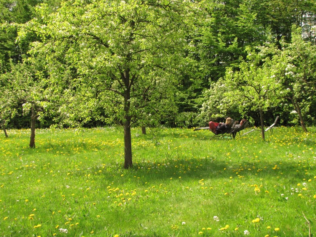 Yoga Vidya Ashram Hotel Horn-Bad Meinberg Buitenkant foto