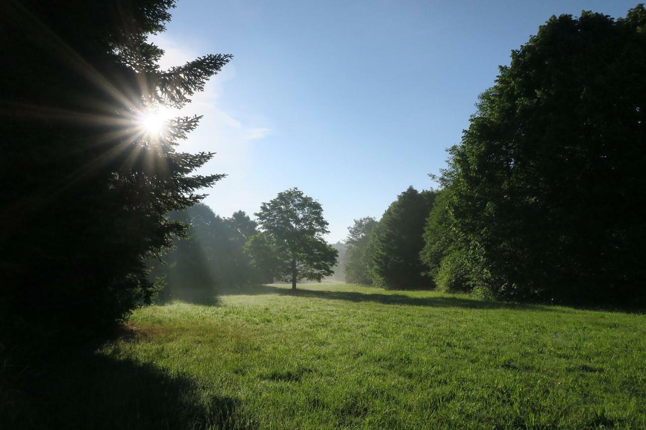 Yoga Vidya Ashram Hotel Horn-Bad Meinberg Buitenkant foto